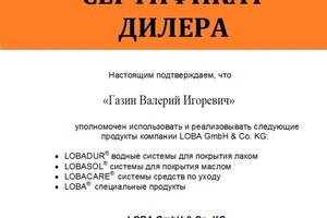 Диплом / сертификат №12 — Газин Валерий Игоревич