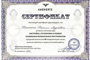 Диплом / сертификат №2 — Костянко Кирилл Андреевич