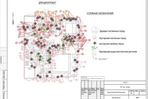 Благоустройство участка. Токсово. Рабочий проект. Дрендропроект — Крашенникова Елизавета Евгеньевна