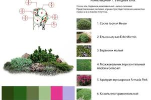 Дендроплан и скетч — Мальцева Мария Владимировна