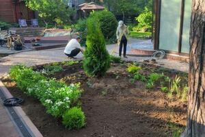 Устройство цветника — Орешникова Мария Евгеньевна