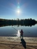 СДВ Денис Васильевич — благоустройство территории (Санкт-Петербург)