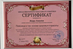 Диплом / сертификат №10 — Соколов Игорь Геннадьевич