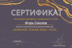 Диплом / сертификат №12 — Соколов Игорь Геннадьевич