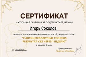 Диплом / сертификат №13 — Соколов Игорь Геннадьевич