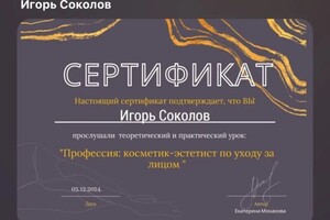 Диплом / сертификат №14 — Соколов Игорь Геннадьевич