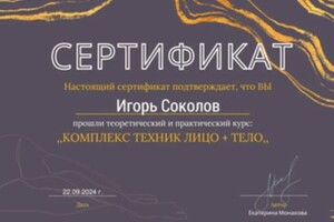 Диплом / сертификат №19 — Соколов Игорь Геннадьевич