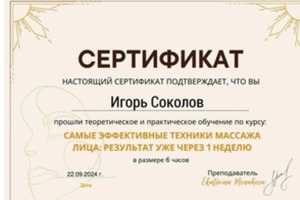 Диплом / сертификат №28 — Соколов Игорь Геннадьевич