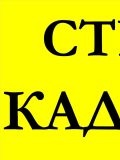 СТРОЙ КАДАСТР — геодезист, проектирование и дизайн, кадастровые услуги (Санкт-Петербург)