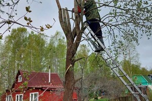 Удаление веток деревьев. — Щеглов Андрей Николаевич