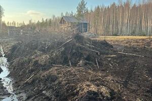 Погрузка пней, веток, корней — Зерцова Анастасия Игоревна