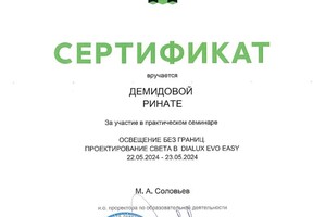 Диплом / сертификат №5 — Демидова Рината Григорьевна