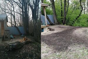 Участок ИЖС. Необходимо было распилить ствол дерева на дрова, измельчить пень и благоустроить территорию (разровнять... — Мигунов Кирилл Сергеевич