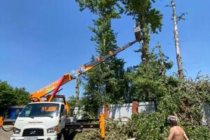 Спил тополей в пос. Барсуки с помощью автовышки 30м. — Роман