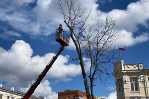 Работа по госконтрактам — Роман