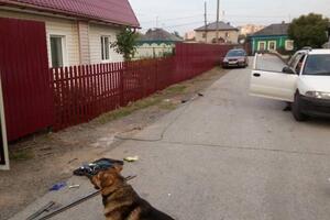 Заборчик — Березовский Иван Павлович