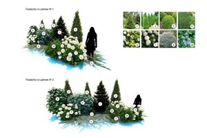 Портфолио №44 — Глазкова Наталья Алексеевна