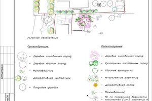 Дендроплан — Глазкова Наталья Алексеевна
