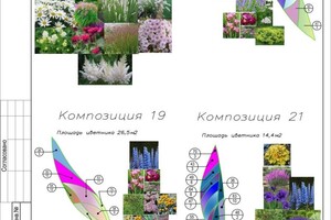 Детализация цветников — Глазкова Наталья Алексеевна