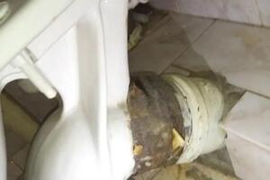 Замена манжеты — Романов Антон Александрович