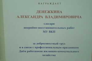 Диплом / сертификат №2 — Денежкин Александр Владимирович