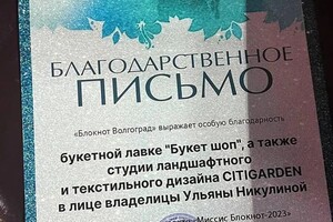 Диплом / сертификат №2 — Никулина Юлия Сергеевна