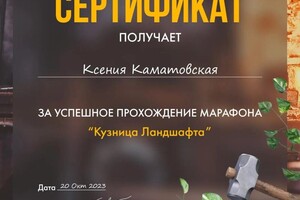 Диплом / сертификат №1 — Каматовская Ксения Александровна