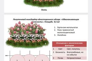 Разработка цветника — Каматовская Ксения Александровна