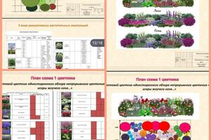 Разработка дизайна цветников и растительных композиций — Каматовская Ксения Александровна