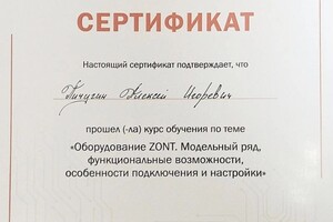 Диплом / сертификат №7 — Пичугин Алексей Игоревич