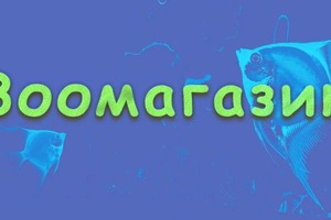 Надпись для зоомагазина — Девятерикова Анна Евгеньевна