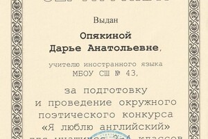 Диплом / сертификат №3 — Коткина Дарья Анатольевна