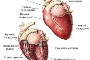 Портфолио №1 — Бегларян Мелине Гамлетовна