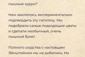 Портфолио №10 — ГРУППА 12, маркетинговое агентство по преодолению высокой конкуренции