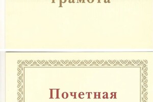 Диплом / сертификат №3 — Хайбулина Надежда Владимировна