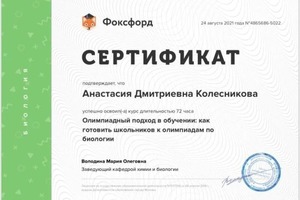 Диплом / сертификат №5 — Колесникова Анастасия Дмитриевна