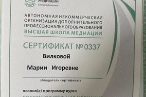 Диплом / сертификат №3 — Вилкова Мария Игоревна