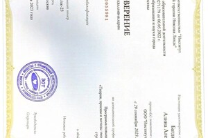 Диплом / сертификат №4 — Багдасарян Алина Александровна