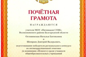 Диплом / сертификат №6 — Шамраев Дмитрий Валерьевич