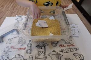 Федорова Дарья Игоревна — Понимание речи. Запоминаем глаголы \