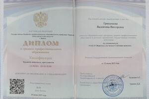 Грищенкова Валентина Викторовна — Диплом / сертификат №1