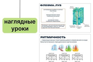 Громова Анна Юрьевна — Портфолио №3