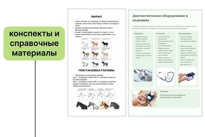 Громова Анна Юрьевна — Портфолио №4