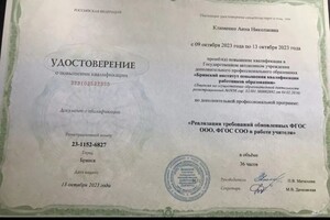 Клименко Анна Николаевна — Портфолио №5