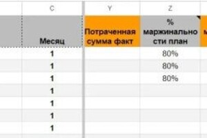 Линова Светлана Александровна — Медиапланирование — Портфолио №5