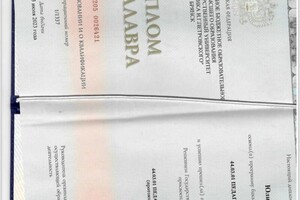 Родичева Юлия Владимировна — Диплом / сертификат №3