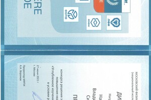 Силенок Надежда Владимировна — Портфолио №2