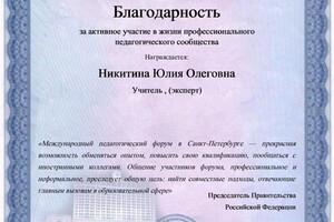 Никитина Юлия Олеговна — Диплом / сертификат №26