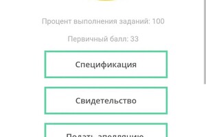Никитина Юлия Олеговна — Подготовка к ОГЭ на 33 балла — Портфолио №11
