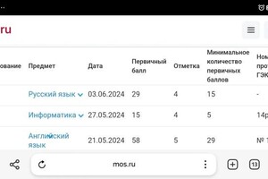 Никитина Юлия Олеговна — Подготовка к ОГЭ на 4 — Портфолио №16